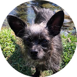 Millie
